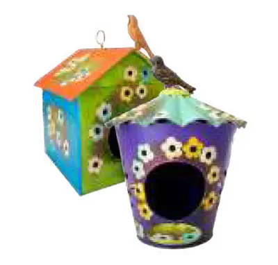 Bird House Single 1